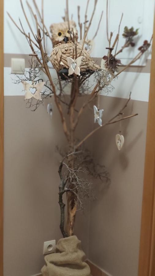 Margus Apartmany Oscadnica Εξωτερικό φωτογραφία